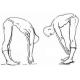 Как лечить позвоночник с помощью физкультуры: упражнения Амосова Амосов 1000 движений отзывы
